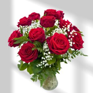master image 12 red naomi dozen roses window background