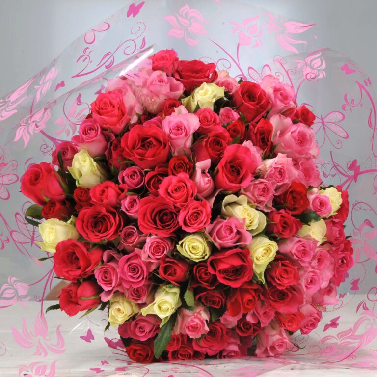 100 Fresh Pink Roses