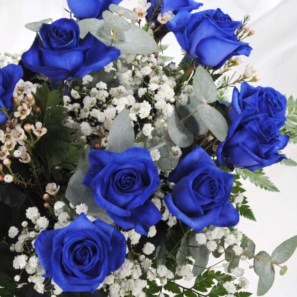 Blue Roses Uk Buy Fresh 12 Blue Roses Bouquet | Homeland Florists