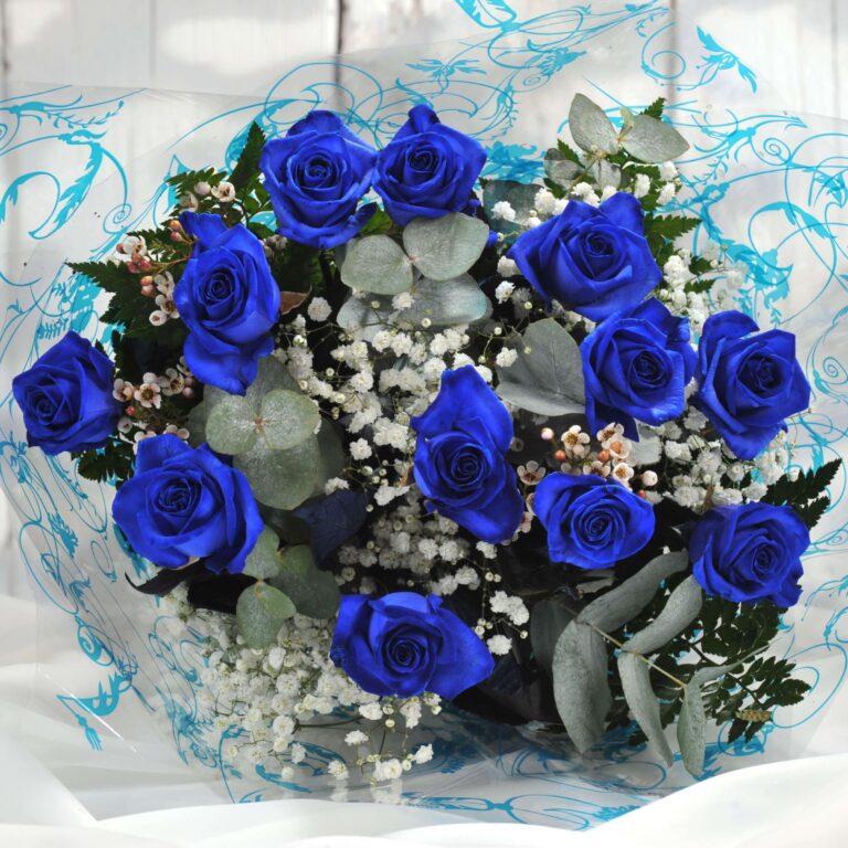 12 blue roses