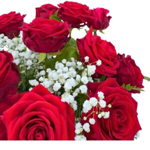 Close up red naomi 12 dozen roses