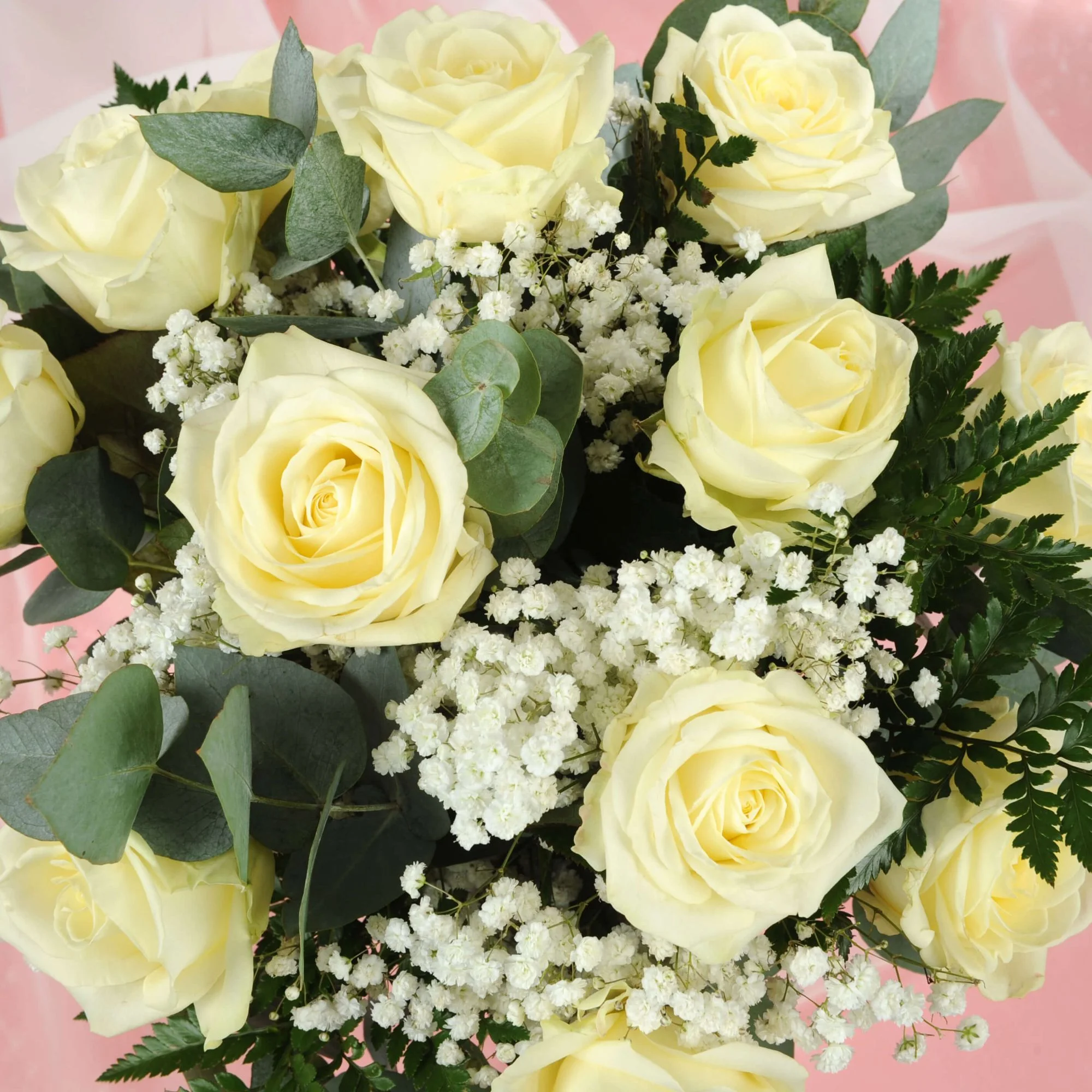Alternative view of 12 Luxury White Roses Bouquet
