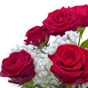 Red Roses Fresh Flowers Close up left 4 roses