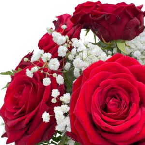 side left 3 red roses large 3qtr image