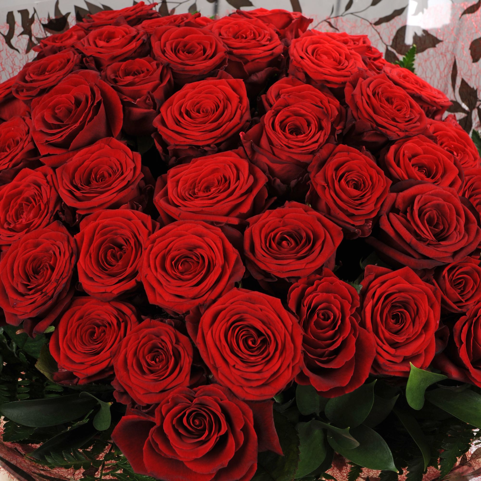 Buy 50 Shades of Red Roses Bouquet