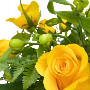 Rose and Alstroemeria close up yellow