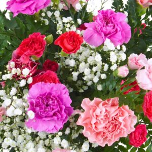 wide shot pink and red carnations with gyp top down shot