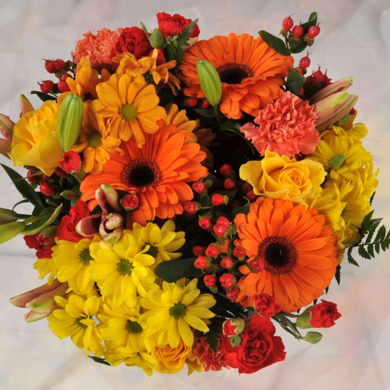 FREE Same Day Flower Delivery Northampton Homeland Florists