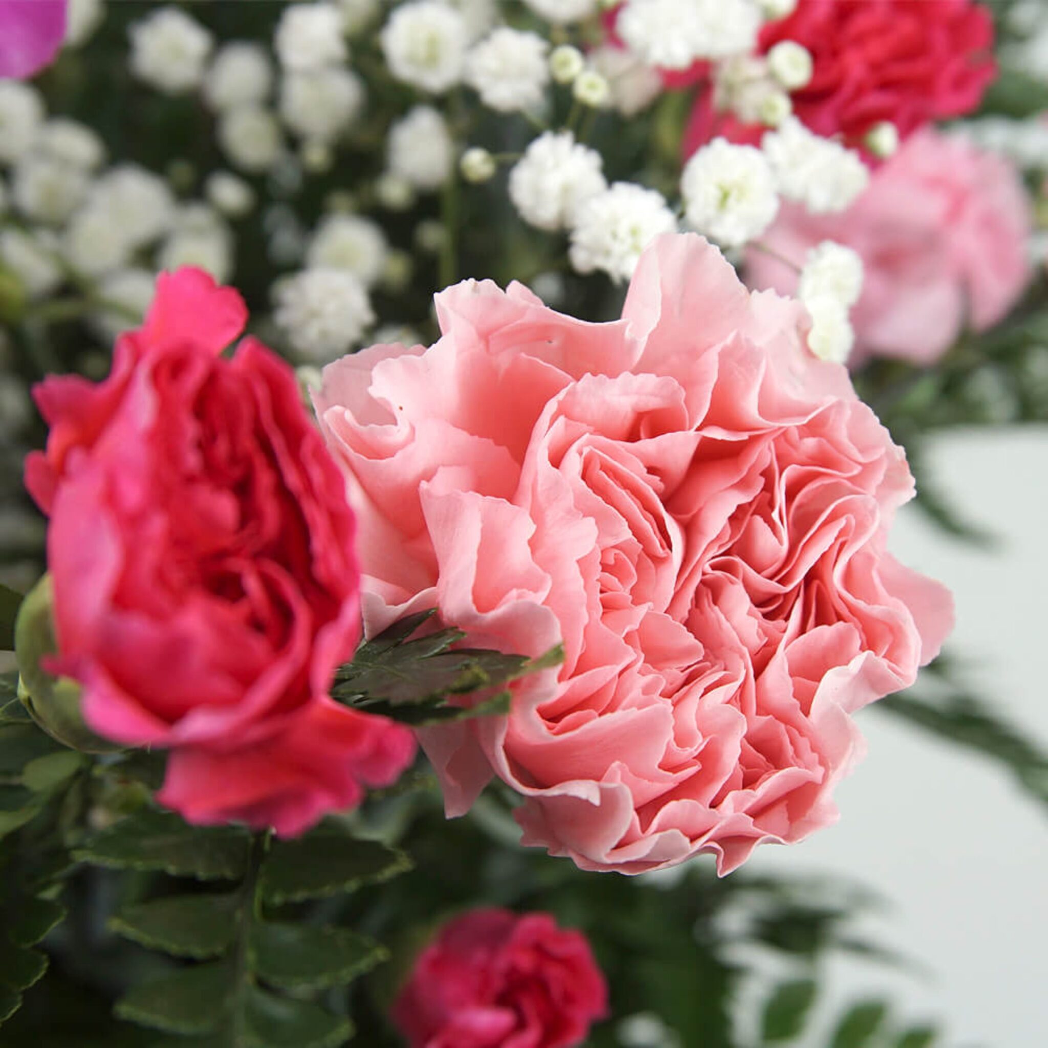 Buy Flowers Online UK FREE UK Next day Delivery Homeland Florists