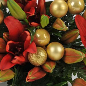 Christmas Red and Gold Asiatics