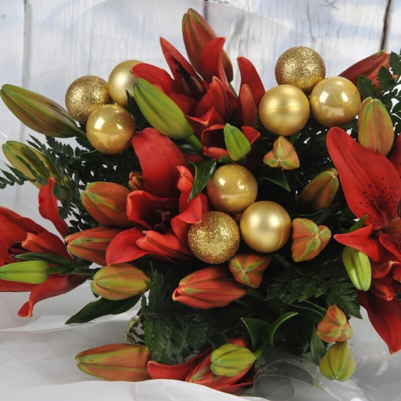 Christmas Red and Gold Asiatics