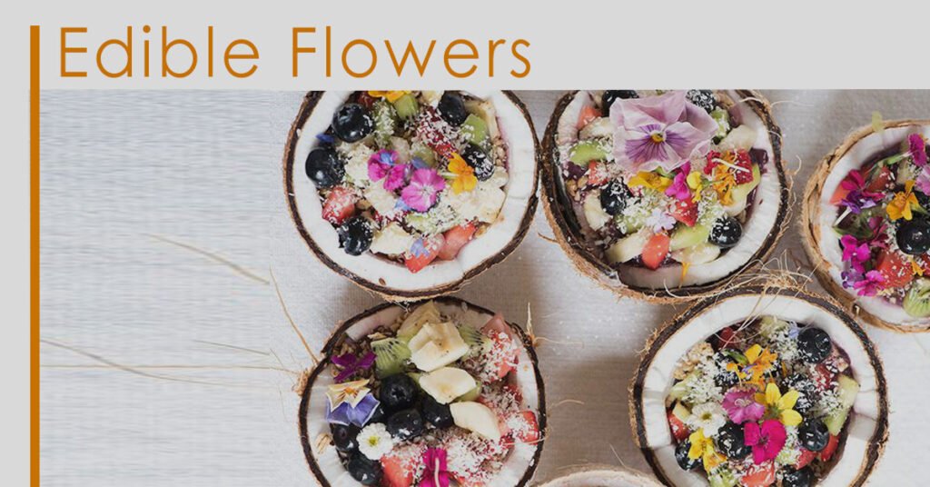 Edible Flower