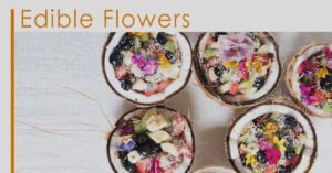 Edible Flower