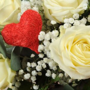 Elegance-12-White-Roses-5.