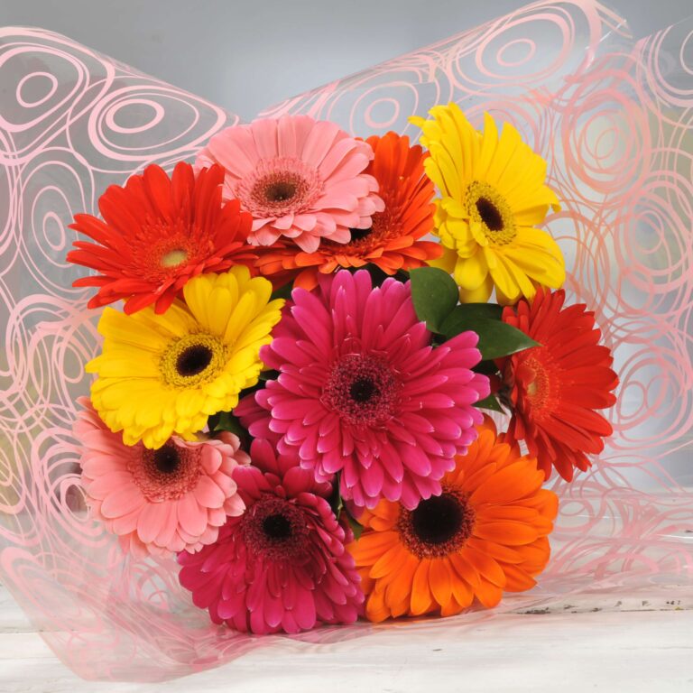 gerbera bouquet