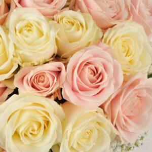 Sweet-and-White-Avalanche-Rose-Bouquet-3-scaled
