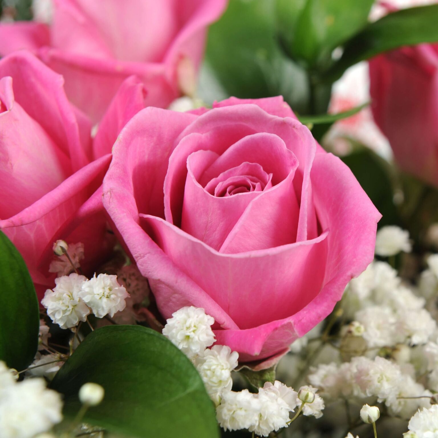 Buy Flowers Online FREE UK Next day Delivery Homeland Florists