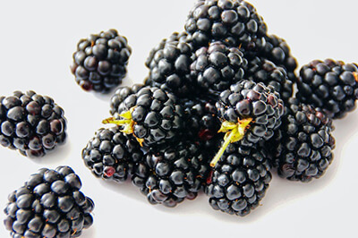 Blackberries Easy to Grow Fruit