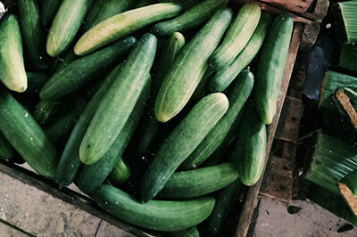 Cucumbers Easy to Grow Fruit