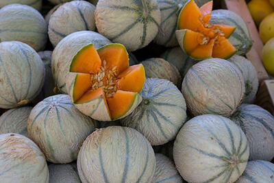 Melons Easy to Grow Fruit