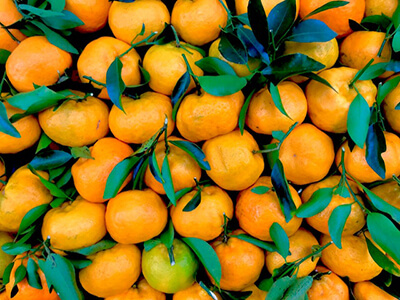 Tangerines Fruit to Grow