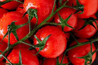 Tomatoe Vegetables to Grow