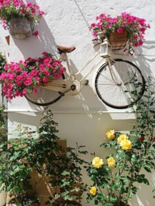 Sensory Garden
