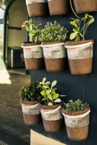Fragrant Herb Gardens