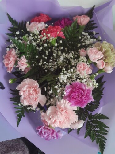 Carnation flowers photo review