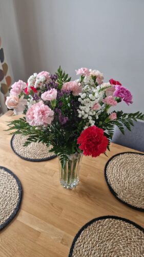 Carnation flowers photo review