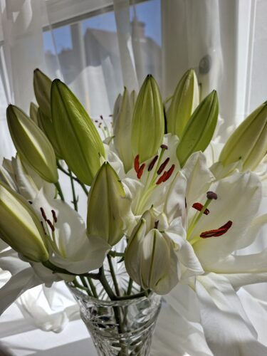 All White Oriental Lily Bouquet photo review